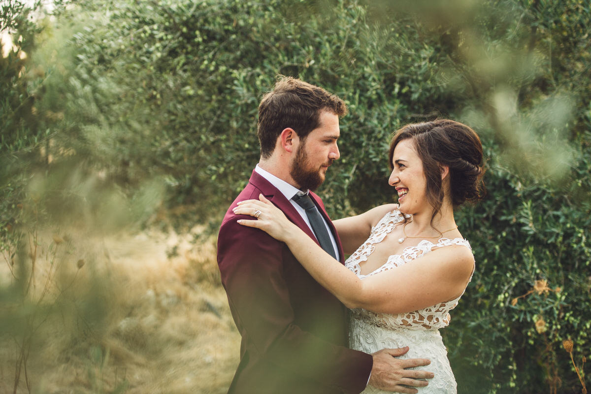 in the olive groves