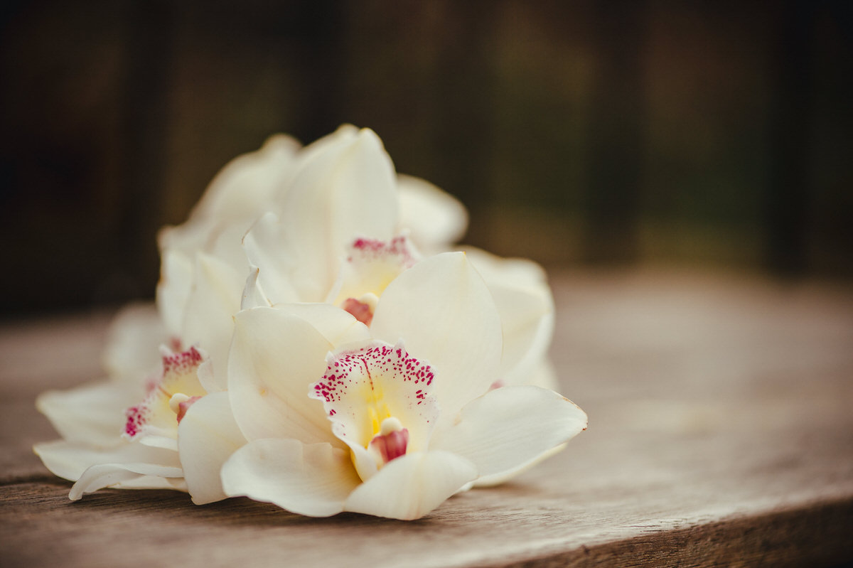 Edinburgh wedding photographer