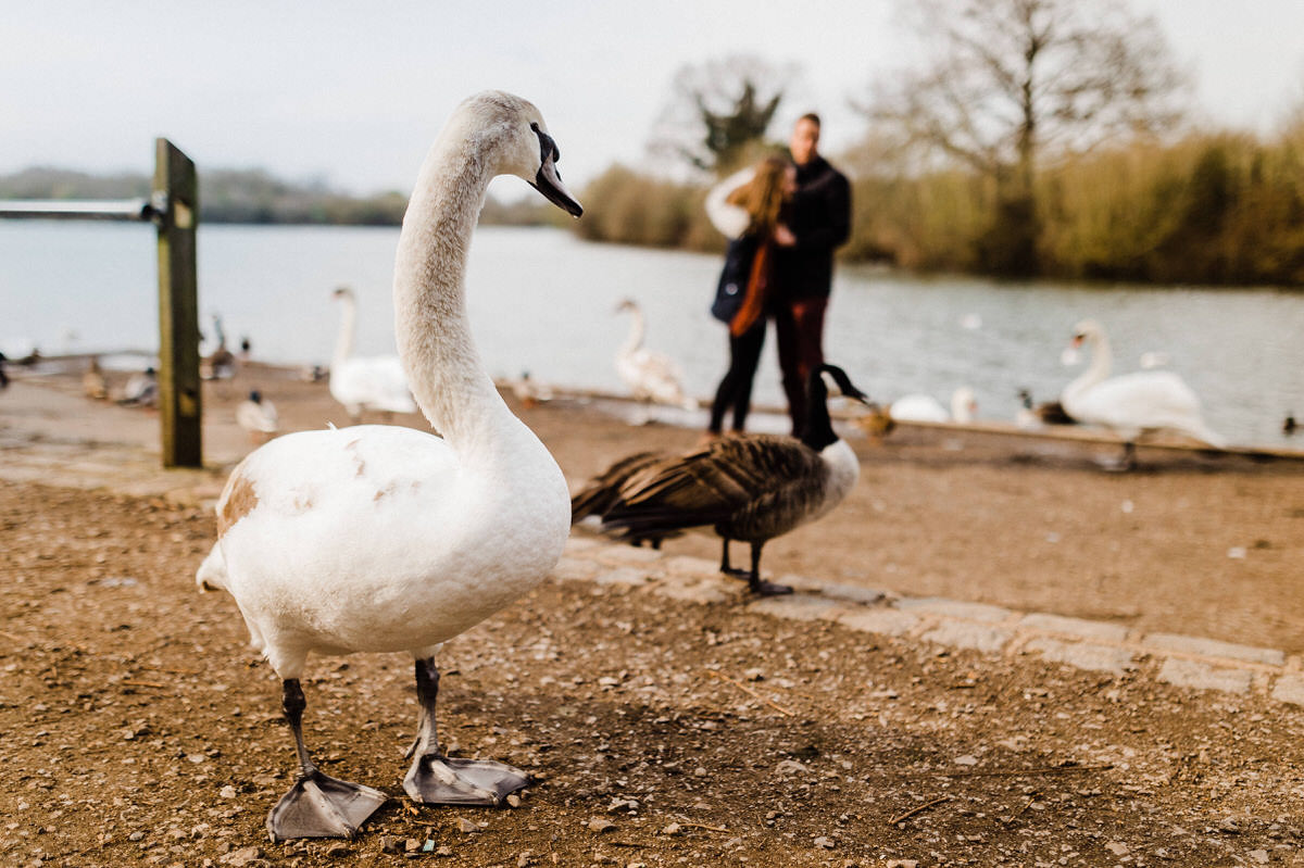 engagement photography london