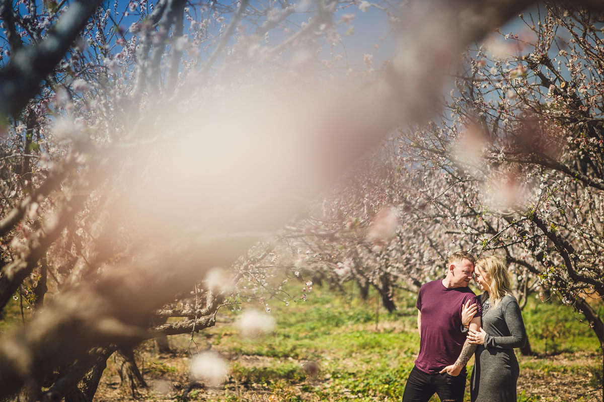 engagement blossom cyprus