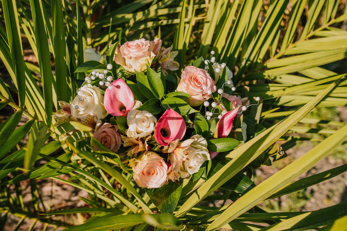 Stacey and Chris - Hadjiantonas Winery, Cyprus 54