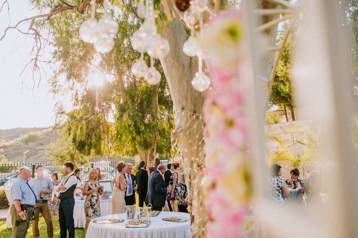 Stacey and Chris - Hadjiantonas Winery, Cyprus 65