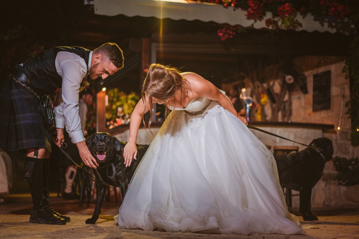 Vasilias Cyprus Wedding Photographer dogs