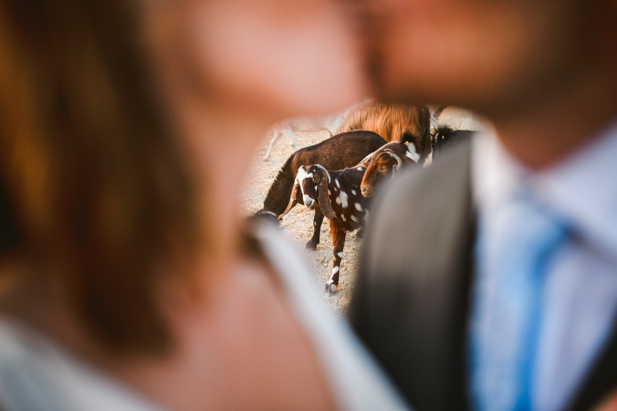 beziique destination wedding photographer, cyprus, paphos, vasilias