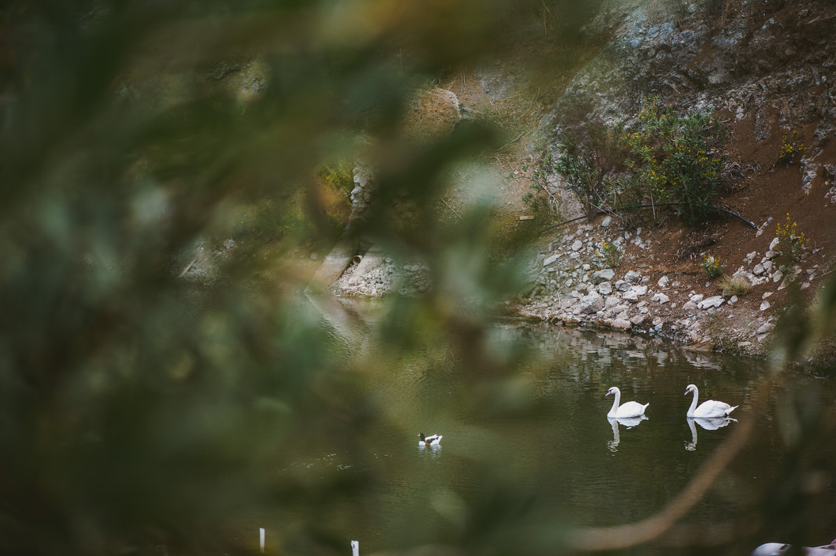 Cyprus Wedding Photographer, Destination Weddings, Ibiza, UK, Paphos, Lexeco Estate