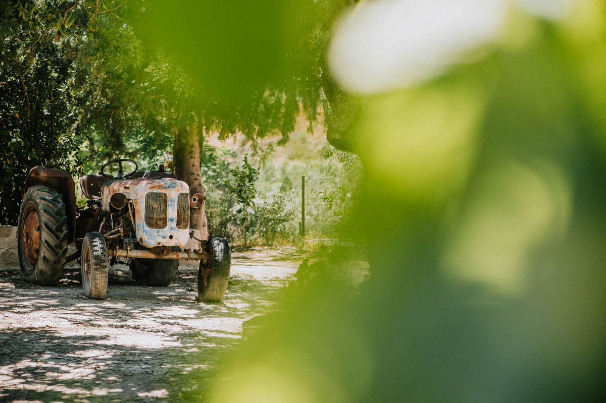 cyprus wedding photographer