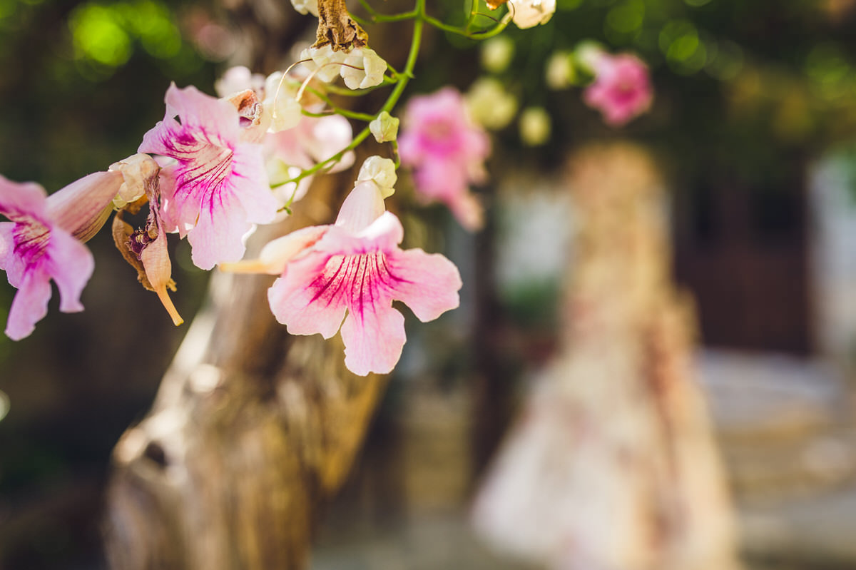 best cyprus wedding photographer