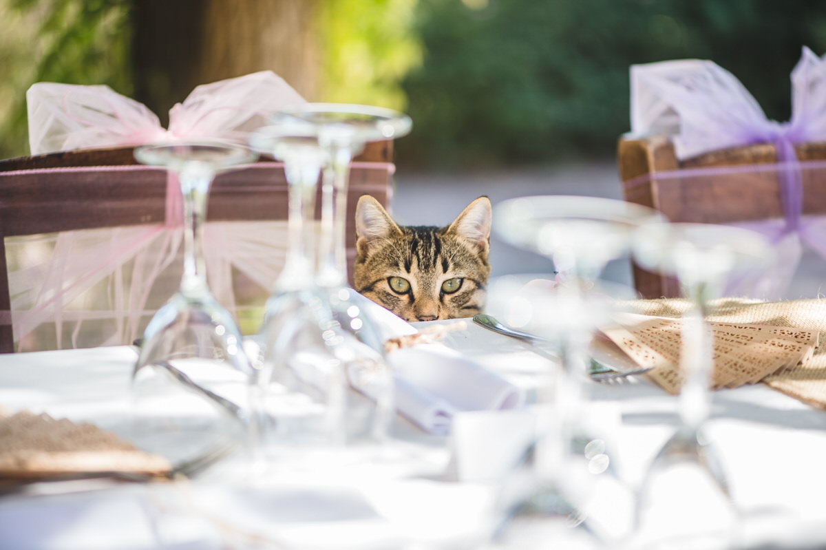 amazing wedding photography cyprus